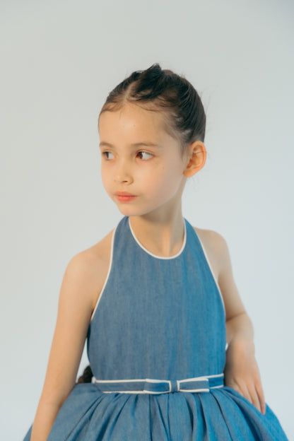 The Caroline Dress Denim Blue