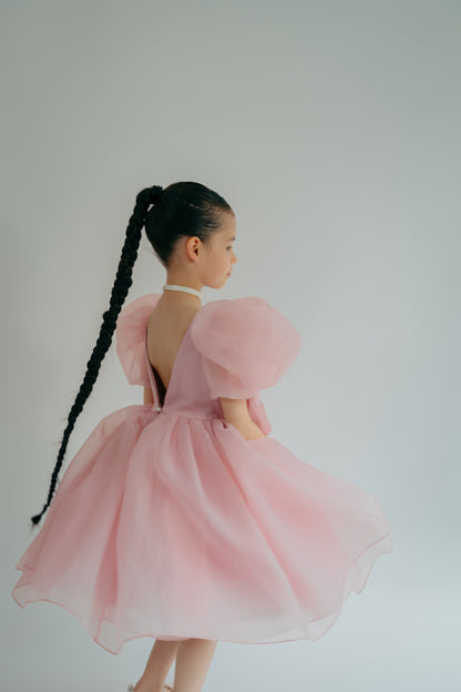 Pink princess dress with puffy sleeves